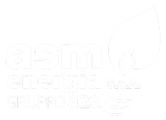 Asm Energia Logo Footer